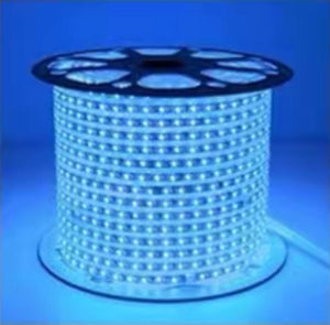 LED Strip Lights 10 Metre Blue Color
